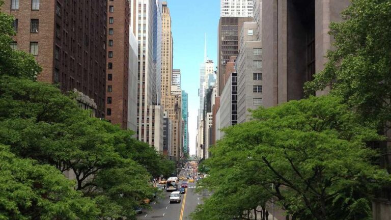 How To Reset Forgotten 11Xplay Com Login Password?